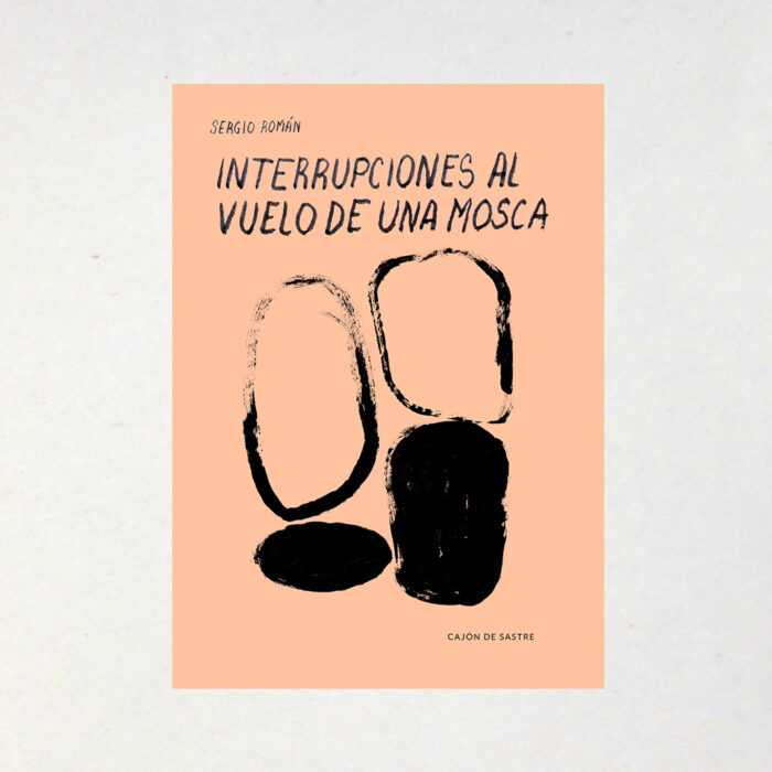 INTERRUPCIONES AL VUELO DE UNA MOSCA - Sergio Román